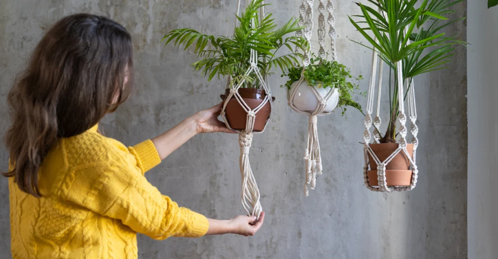 jardim vasos suspensos