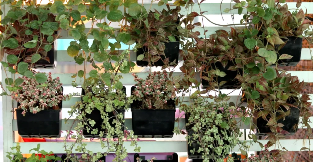 7 Ideias de Jardim Pequeno, Simples e Barato 1 IDEIAS DE JARDIM PEQUENO