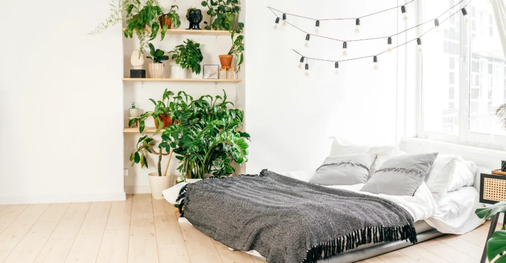 Decoração sustentável