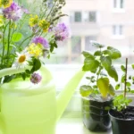 Horta em Apartamento: Cultive Temperos na Cozinha
