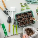 Horta em Apartamento Cultive Temperos na Cozinha