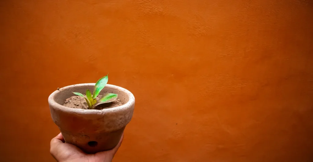tendências de decoração