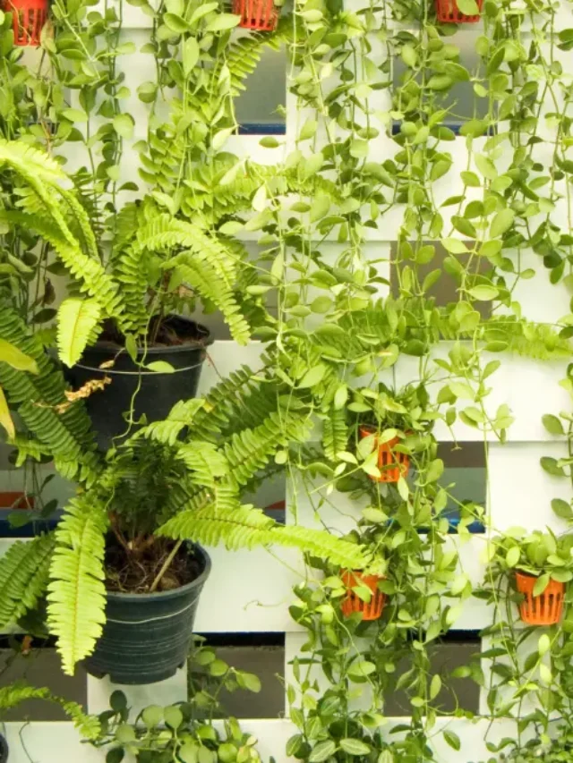 Jardim Vertical Caseiro: Como Fazer Com Materiais Reciclados
