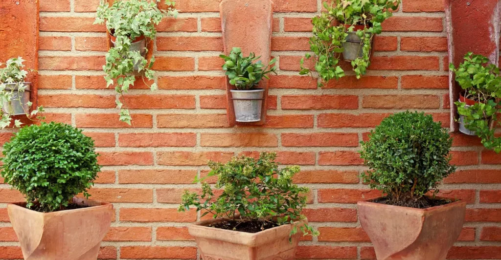 jardim vertical caseiro
