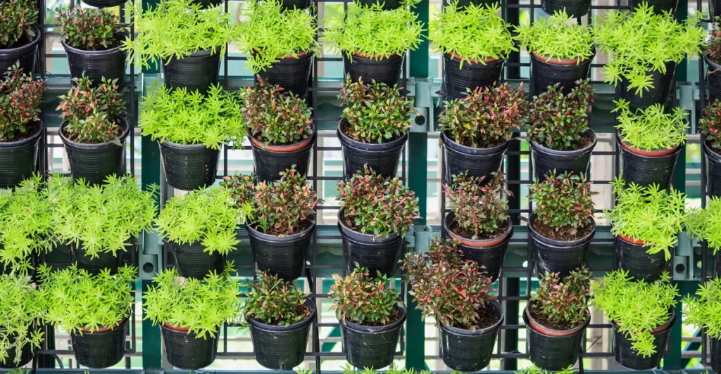 Jardim Vertical em Apartamento: Monte o Seu com Menos de R$150 2 Jardim Vertical em Apartamento