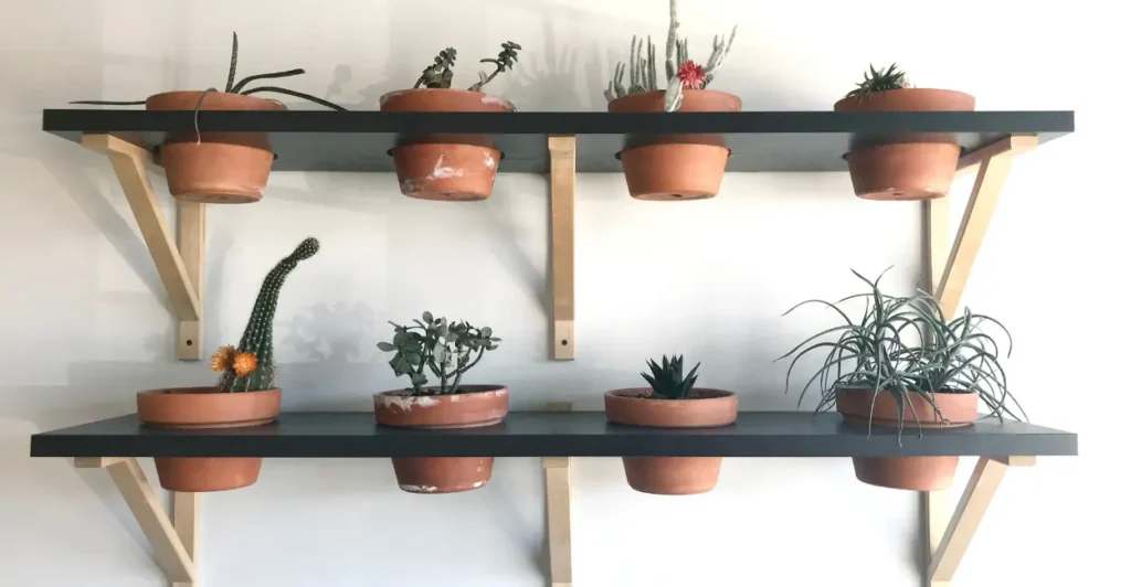 Jardim Vertical em Apartamento