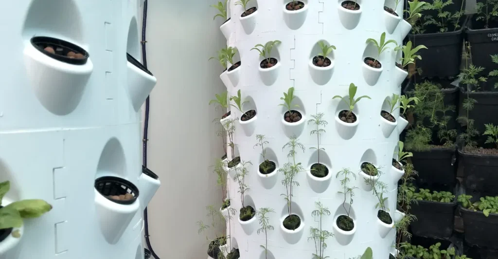 Jardim Vertical em Apartamento