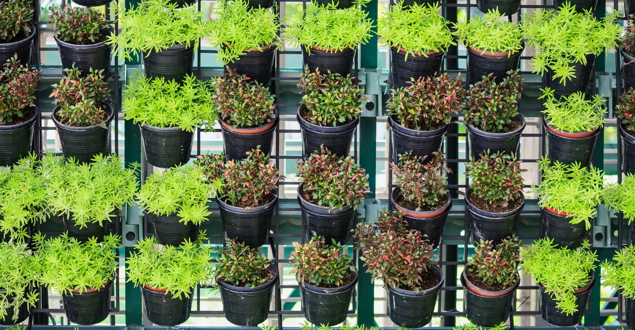 Jardim Vertical em Apartamento