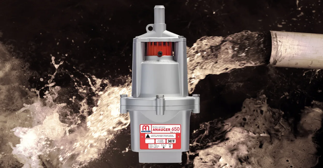 Bomba D'água Submersa 110V