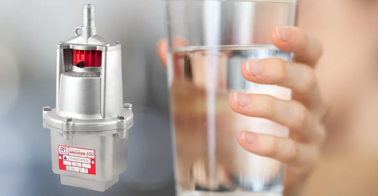 Bomba D'água Submersa 110V