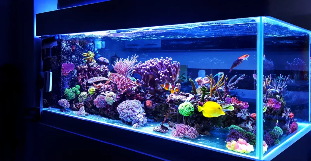 mini bomba d'água submersa